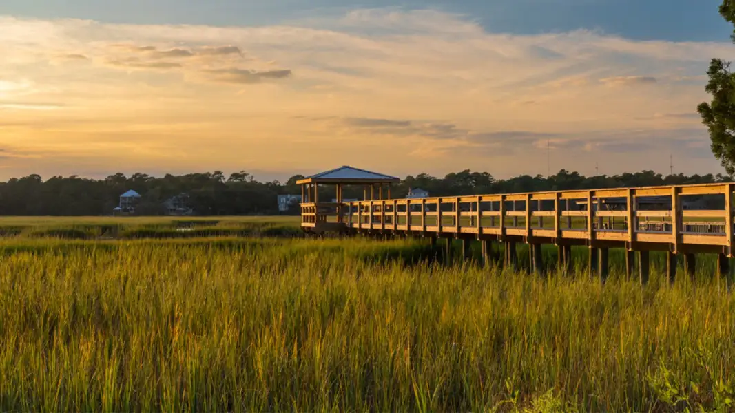 Natural surroundings and green spaces near The Sanctuary at East Argent in Ridgeland, SC (Image 7).