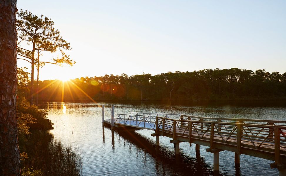 Natural surroundings and green spaces near The Villas at Longleaf Park, a Watersound Origins® community in Inlet Beach, FL (Image 43).