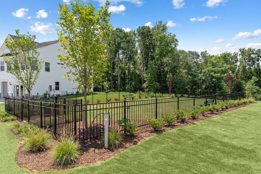 Dog Park | Edwards Station Dog Park | Edwards Station