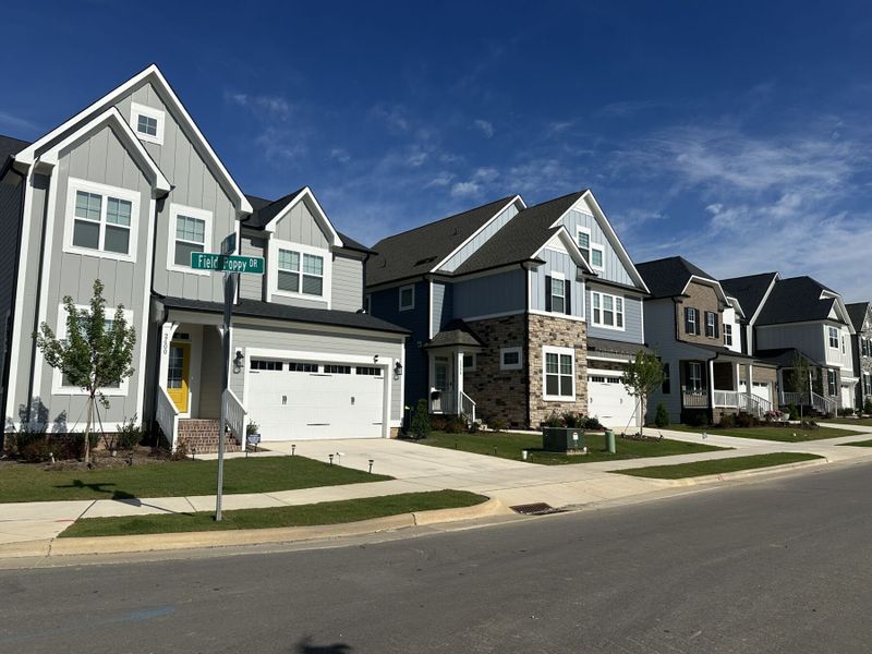 Streetscape Streetscape