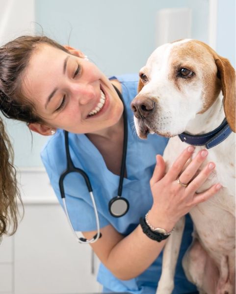 Image 4 of the Beachwalk: The Reef community in St. Johns, FL. Image 4 of the Beachwalk: The Reef community in St. Johns, FL.
