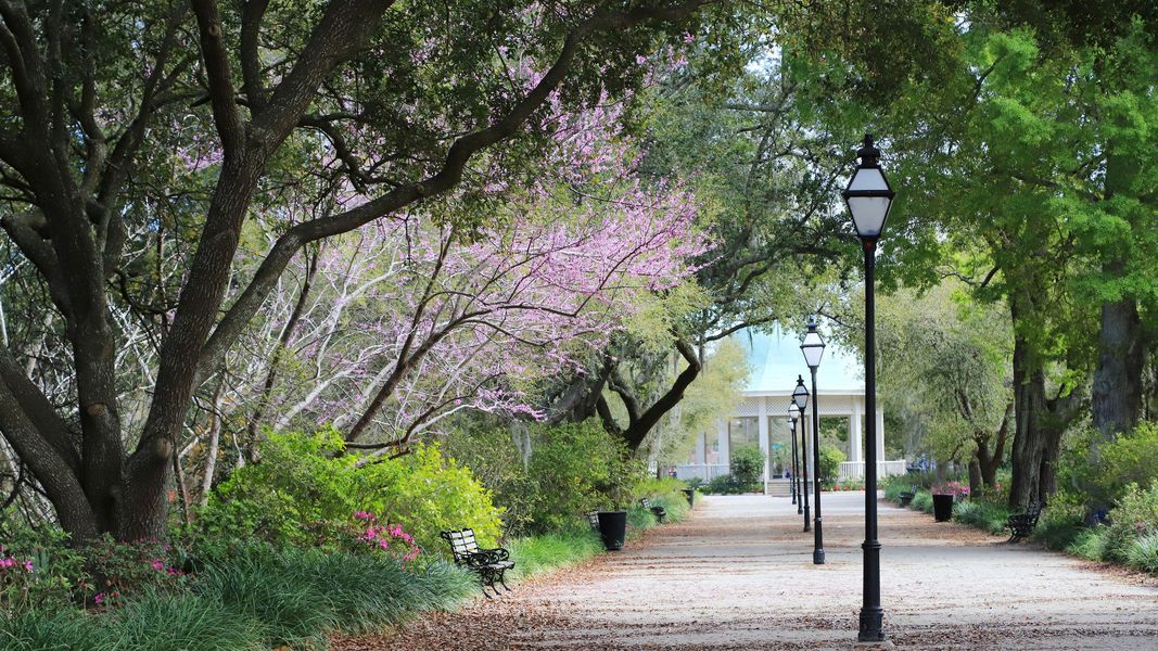 Hampton Park in Downtown Charleston, SC
