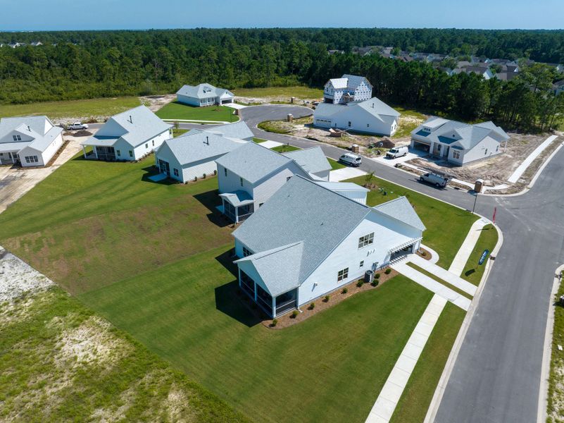 Image 31 of the Songbird community in Hampstead, NC. Image 31 of the Songbird community in Hampstead, NC.