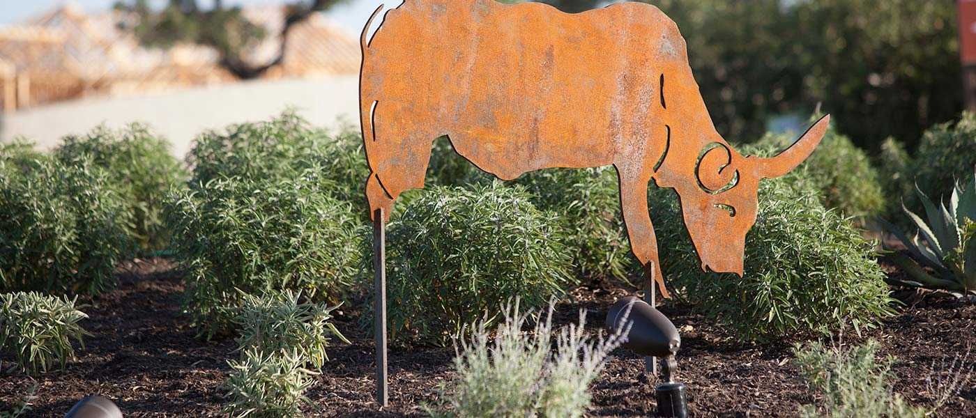 Image 6 of the Fronterra at Westpointe: 55ft. lots community in San Antonio, TX.