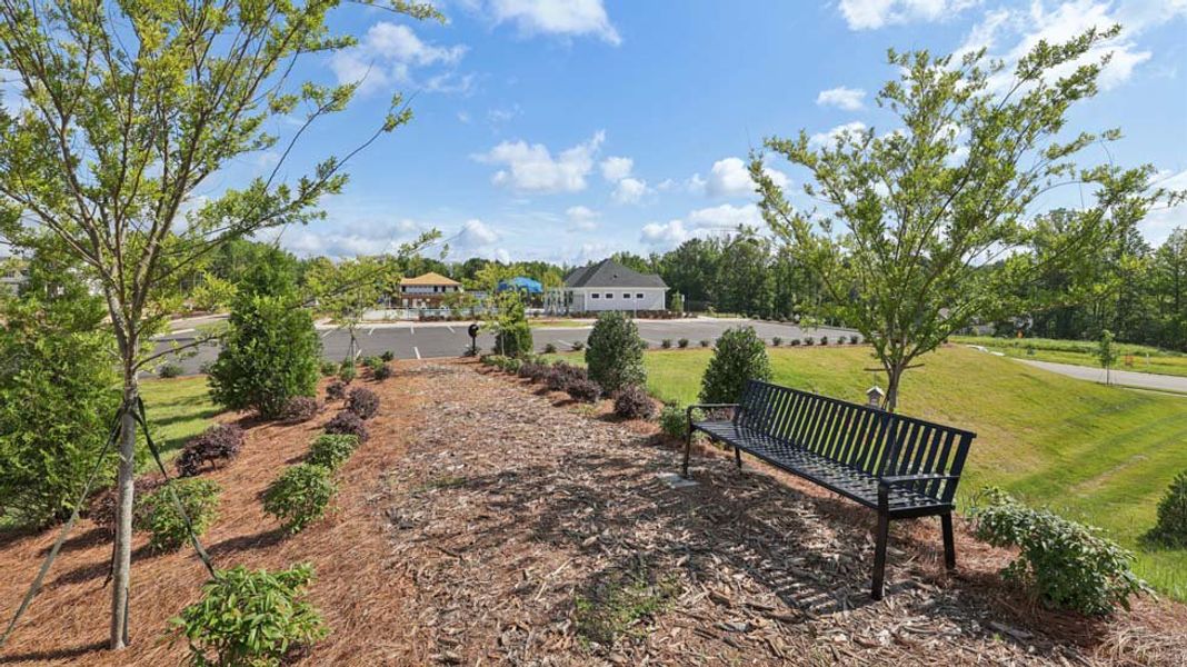 Natural surroundings and green spaces near Sylvan Creek in Denver, NC (Image 52).