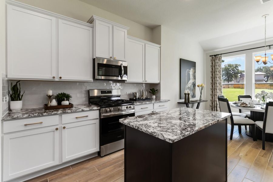 3502 Prairie Cactus - Arlington Model
