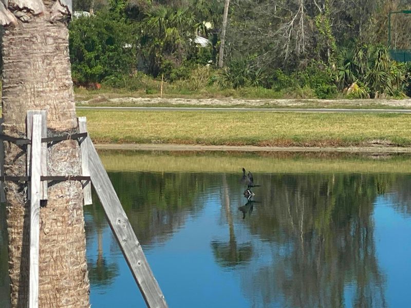 Community Lakes | The Strand:Community Lakes | The Strand