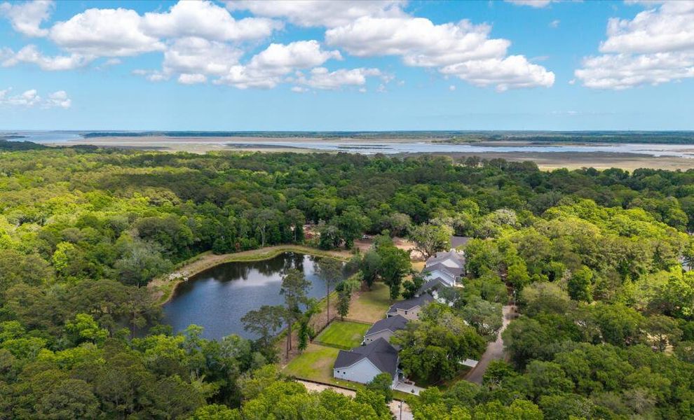 Natural surroundings and green spaces near Academy Park in Beaufort, SC (Image 8).