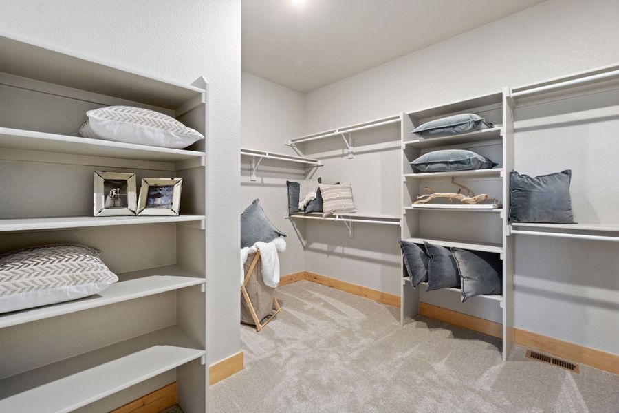 The Aurora Highlands,80019