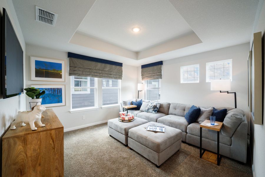 Katzer Ranch Model - Telluride - Game Room