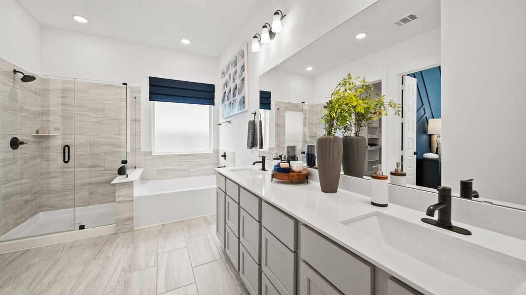 Sorella - Olive lll Model Photo Sorella - Olive lll Model Photo