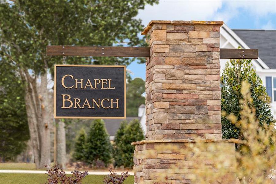 Entrance to the Chapel Branch community in Santee, SC, featuring signage and landscaping (Image 1).