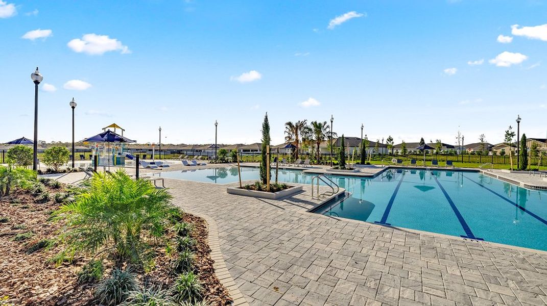 Marion Ranch Amenity  Pool 2of5