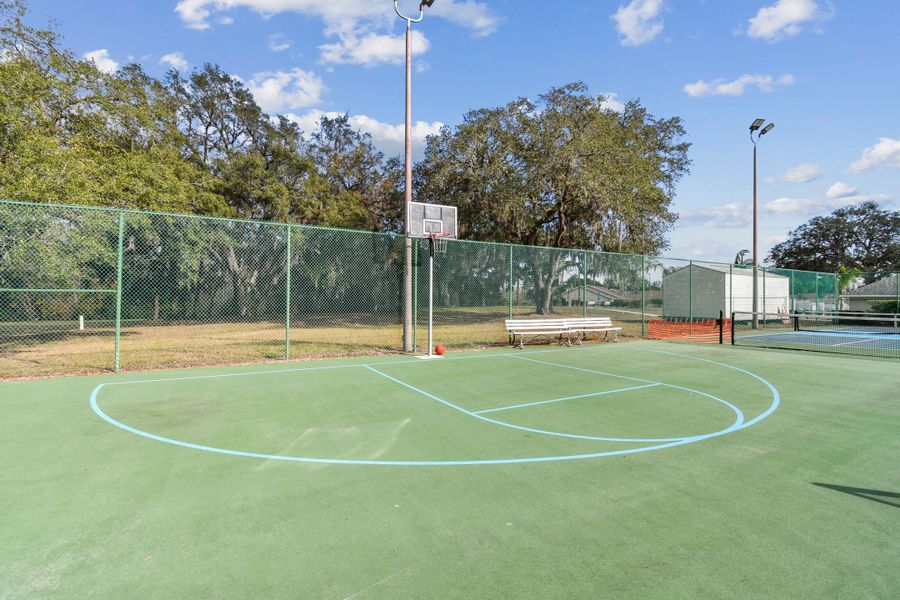 Basketball Court Basketball Court