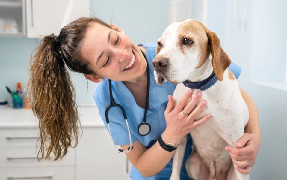 Image 9 of the Beachwalk - Dorado community in St. Johns, FL.