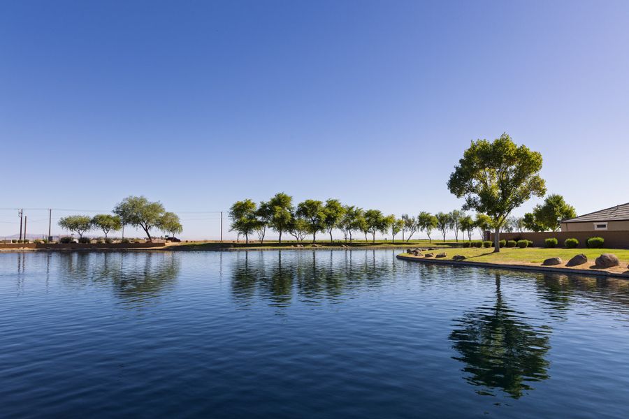 Natural surroundings and green spaces near Rancho Mirage in Maricopa, AZ (Image 39).