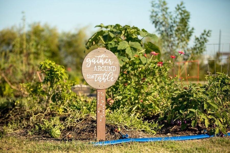 Harvest Green Image 44 Harvest Green Image 44