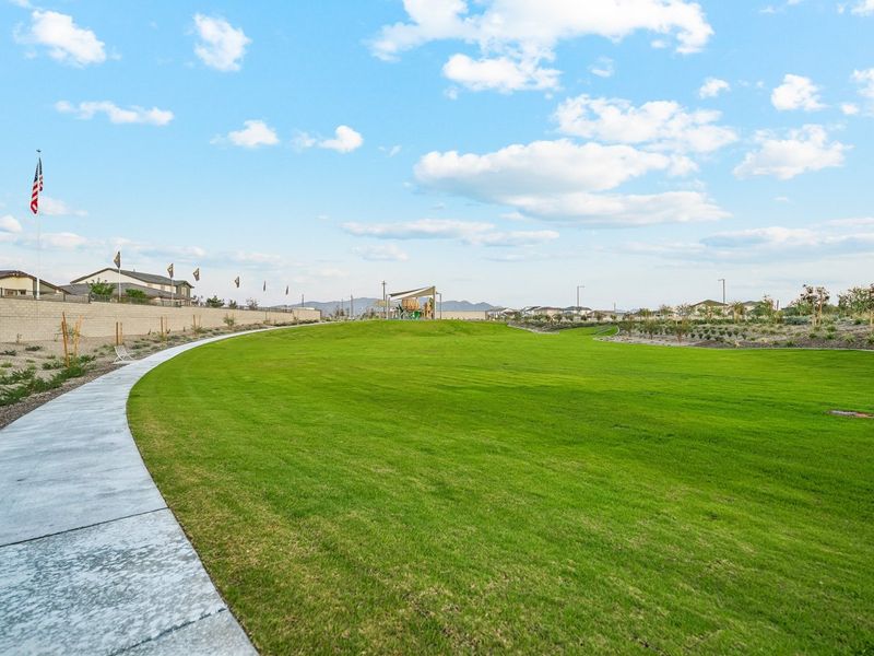 A golf course with a flag. A golf course with a flag.