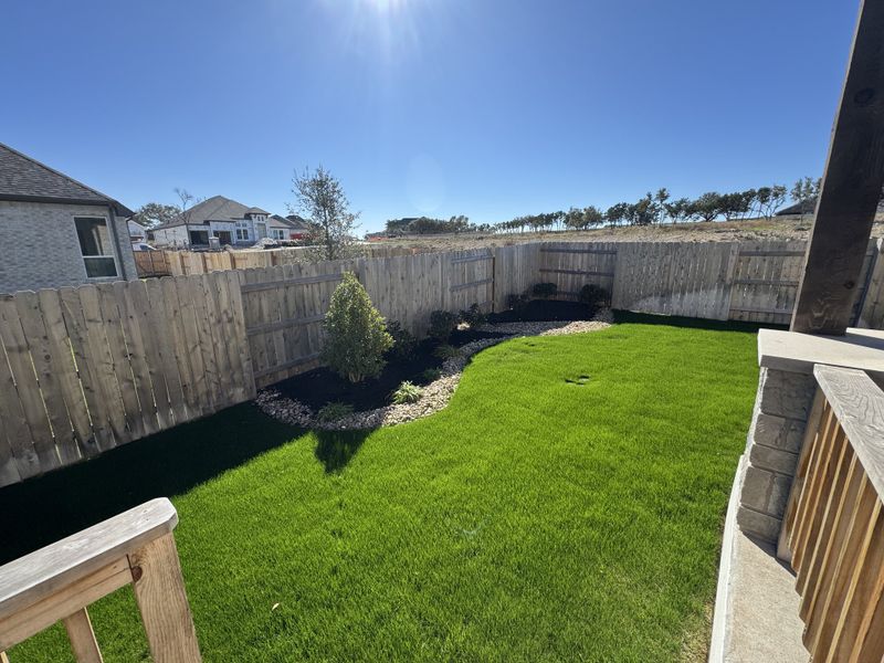 A lush green backyard with a privacy fence in The Cottages at La Cima by Ashton Woods (San Marcos, TX).