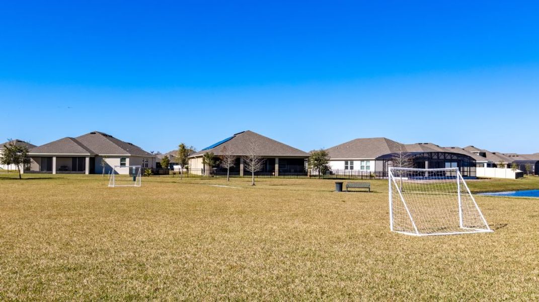 Soccer field