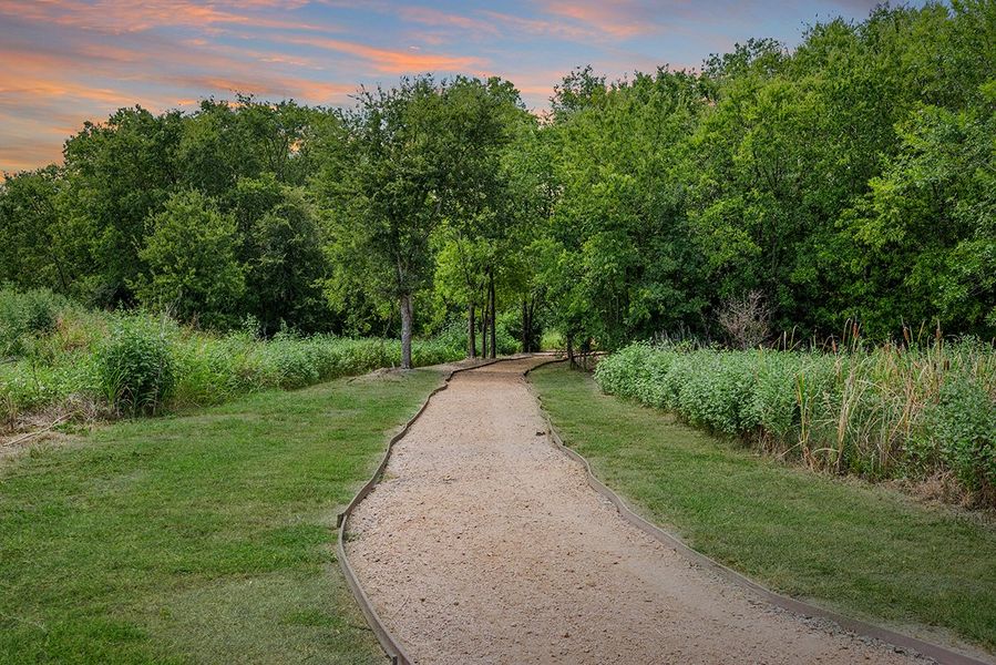 Natural surroundings and green spaces near Town Park in Princeton, TX (Image 25). Natural surroundings and green spaces near Town Park in Princeton, TX (Image 25).