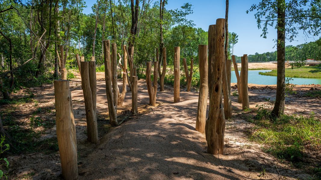 Community amenity available to residents of The Highlands 65' in Porter (Image 13).