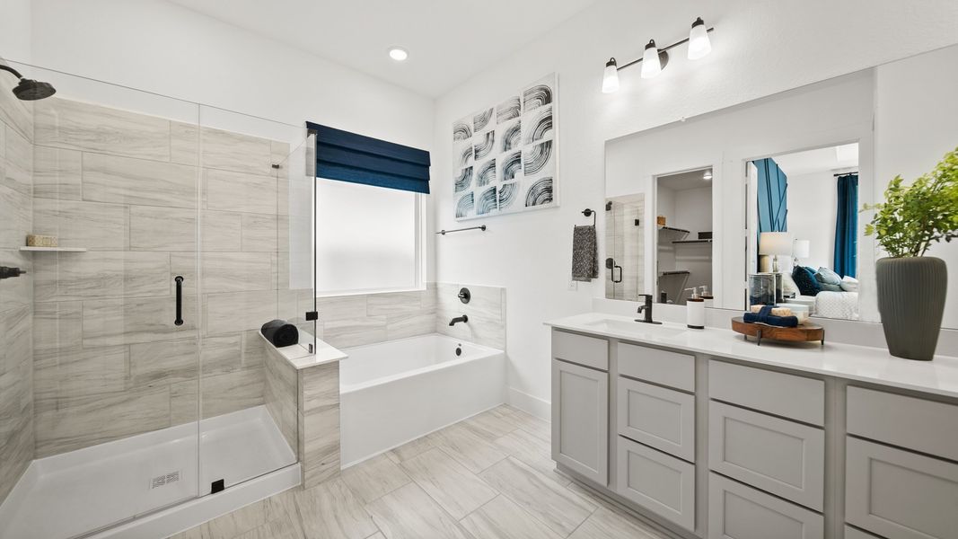 Sorella - Olive lll Model Photo Sorella - Olive lll Model Photo