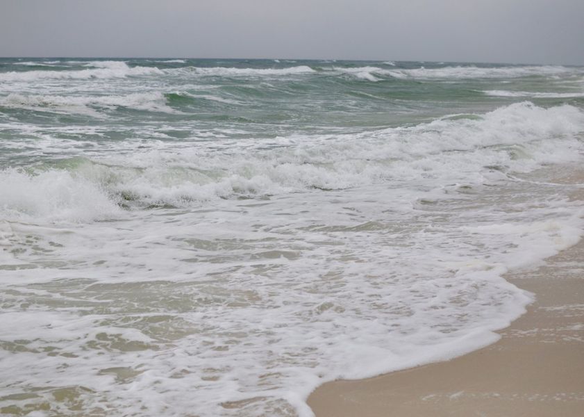 Natural surroundings and green spaces near Coral Cove in Panama City Beach, FL (Image 18). Natural surroundings and green spaces near Coral Cove in Panama City Beach, FL (Image 18).