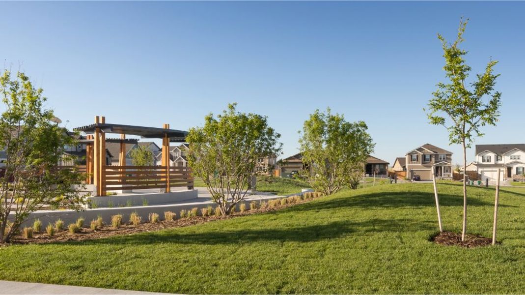 Community amenity available to residents of Sky Ranch: Pioneer Collection in Watkins (Image 14).