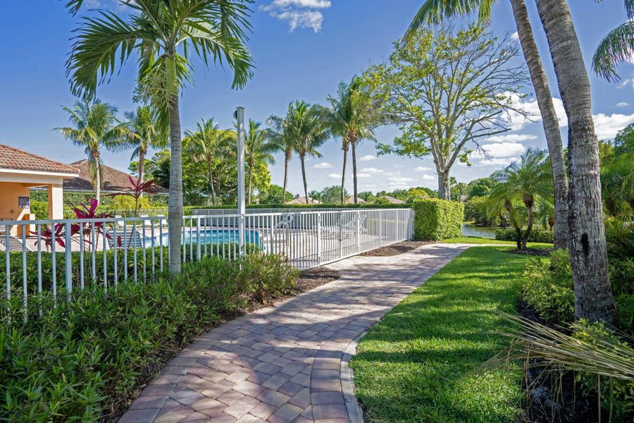 Walkway to Pool | The Falls at Grand Harbor:Walkway to Pool | The Falls at Grand Harbor Walkway to Pool | The Falls at Grand Harbor:Walkway to Pool | The Falls at Grand Harbor