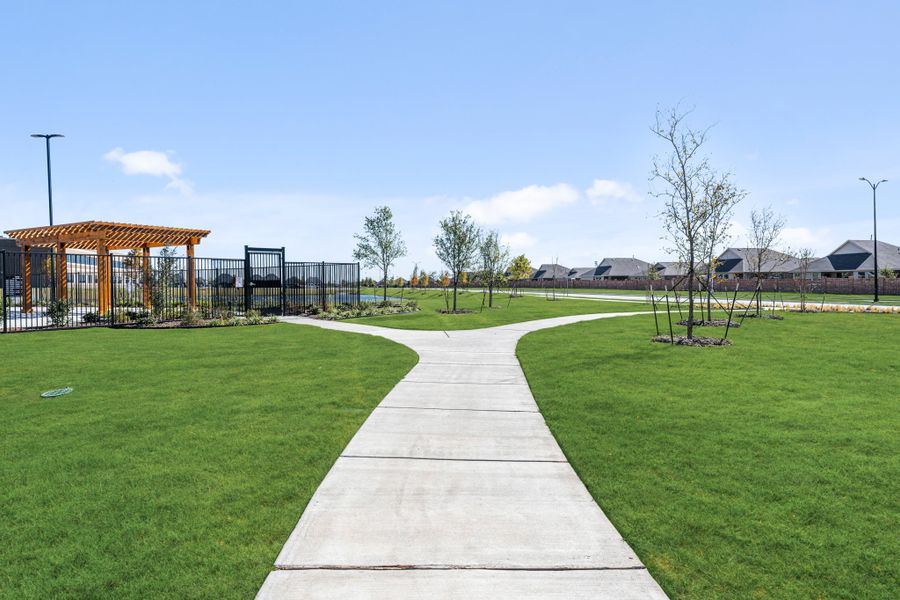 Meadow Vista Amenities