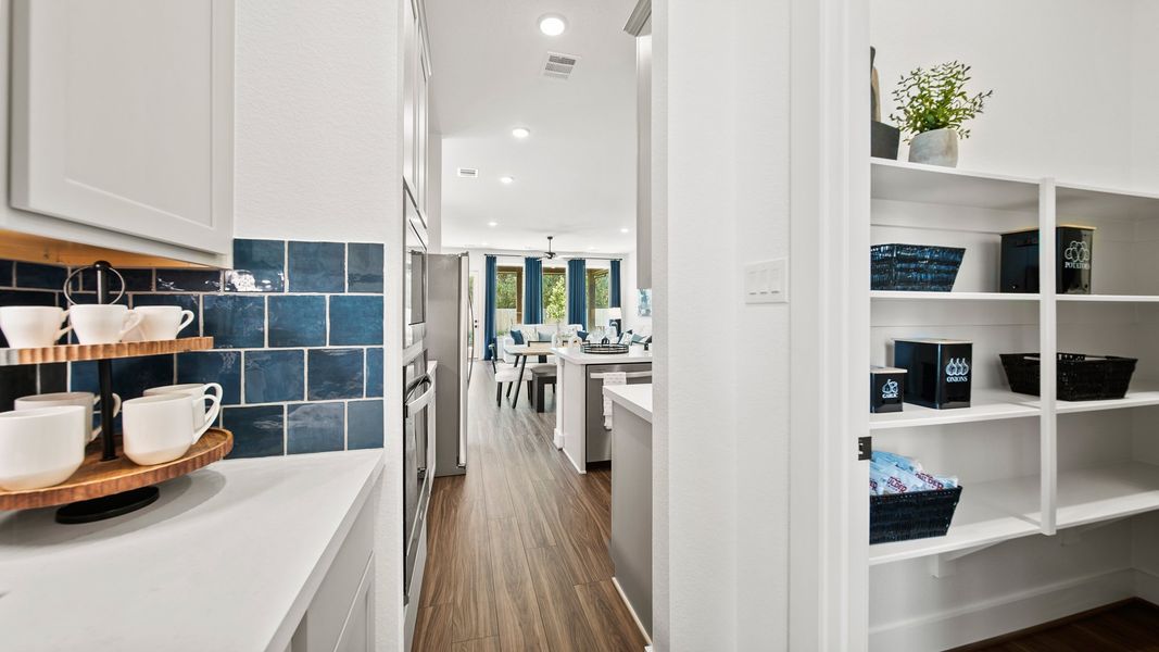 Sorella - Olive lll Model Photo Sorella - Olive lll Model Photo