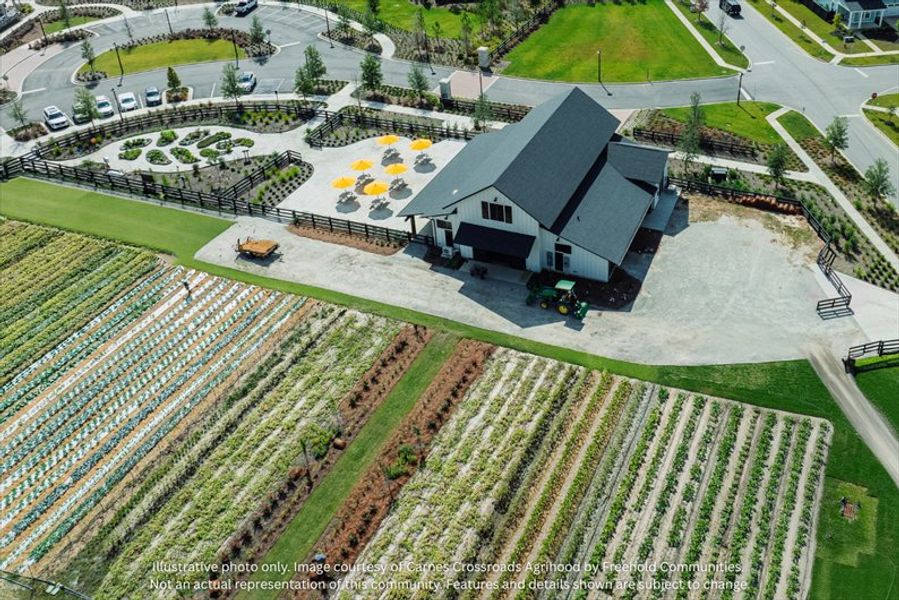 You're going to love living in an Agrihood! 15-acres built around sustainable, farm-to-table living. You're going to love living in an Agrihood! 15-acres built around sustainable, farm-to-table living.
