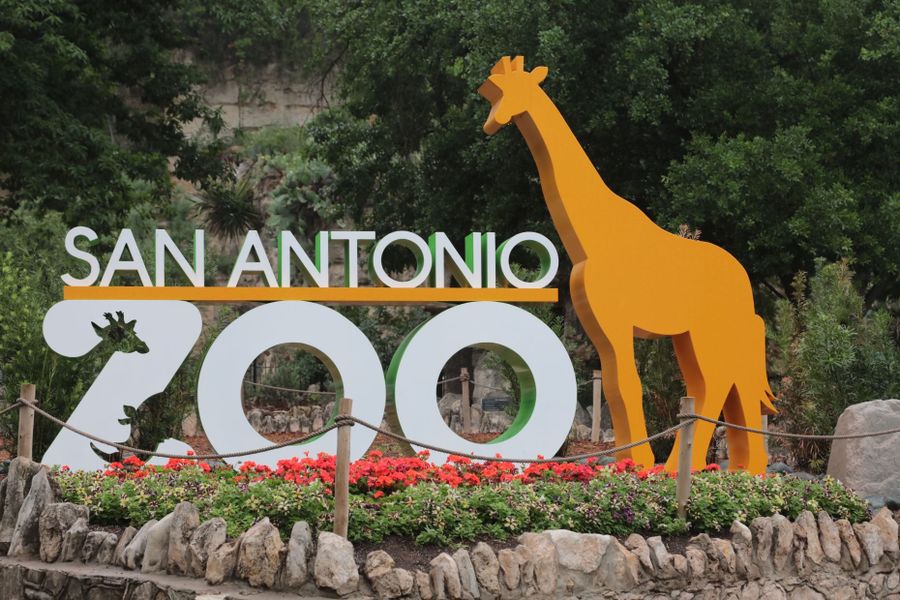 At Vista Real in Converse, weekend fun is just minutes from the San Antonio Zoo. At Vista Real in Converse, weekend fun is just minutes from the San Antonio Zoo.