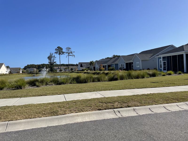 Charming neighborhood with landscaped yards and pond in Encore - Restore at Carolina Park by David Weekley Homes (Mount Pleasant, SC).
