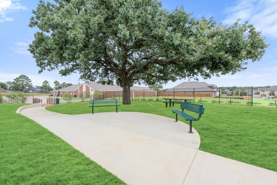 Community park with curved concrete walking path, green benches, and large shade tree on manicured lawn Community park with curved concrete walking path, green benches, and large shade tree on manicured lawn