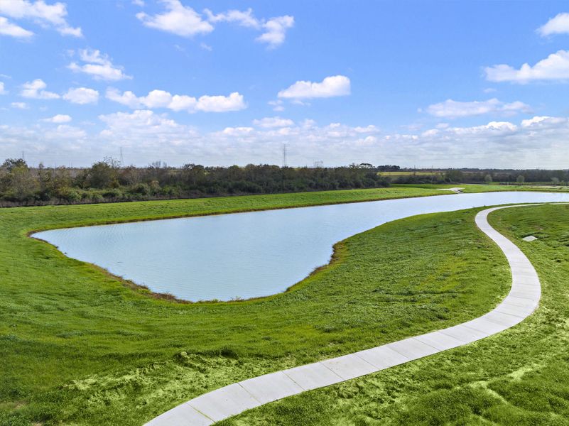 A pond with grass and trees around it. A pond with grass and trees around it.