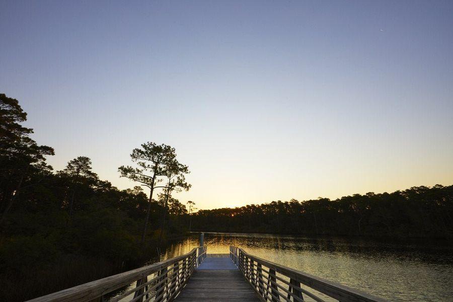 Natural surroundings and green spaces near Salt Grass at Ward Creek in Panama City Beach, FL (Image 87). Natural surroundings and green spaces near Salt Grass at Ward Creek in Panama City Beach, FL (Image 87).