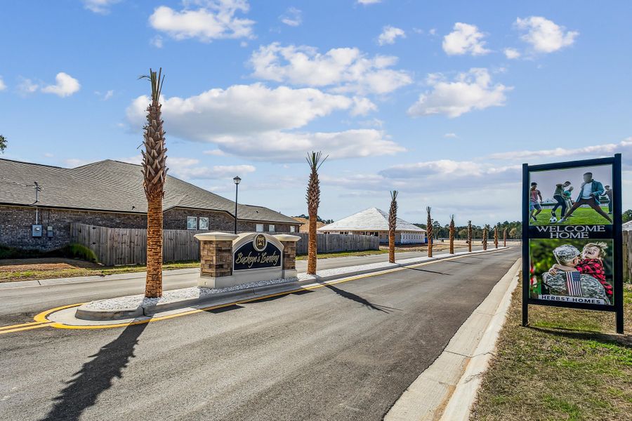 Image 49 of the Buckeyes Landing community in Navarre, FL.