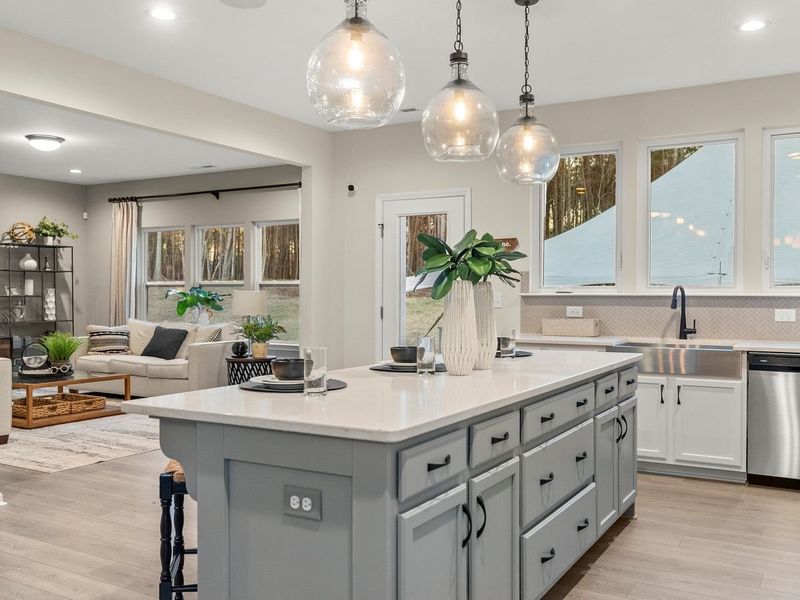 Image 9 of the Jackson Springs community in Willow Spring, NC.