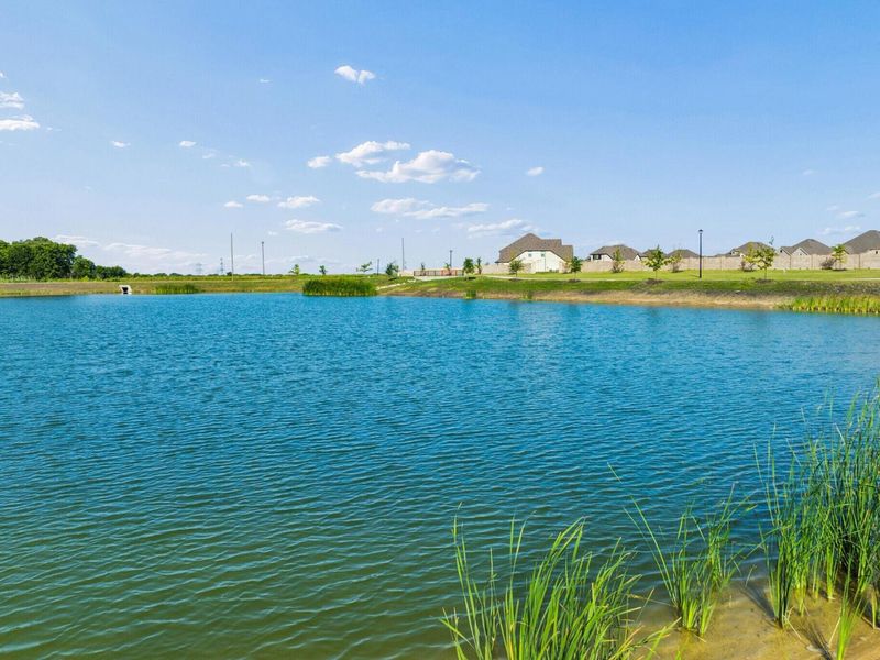 Natural surroundings and green spaces near Mercer Meadows in Royse City, TX (Image 24).