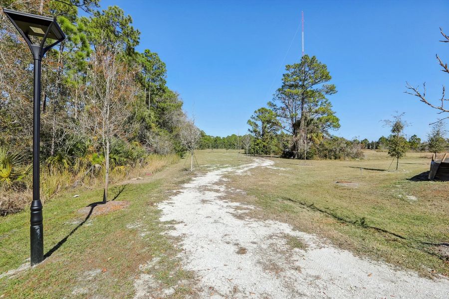 Natural surroundings and green spaces near Montague Chase in Tampa, FL (Image 18).