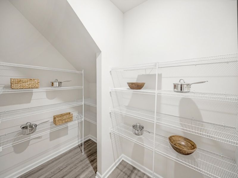 A spacious pantry means easy storage for the whole family.