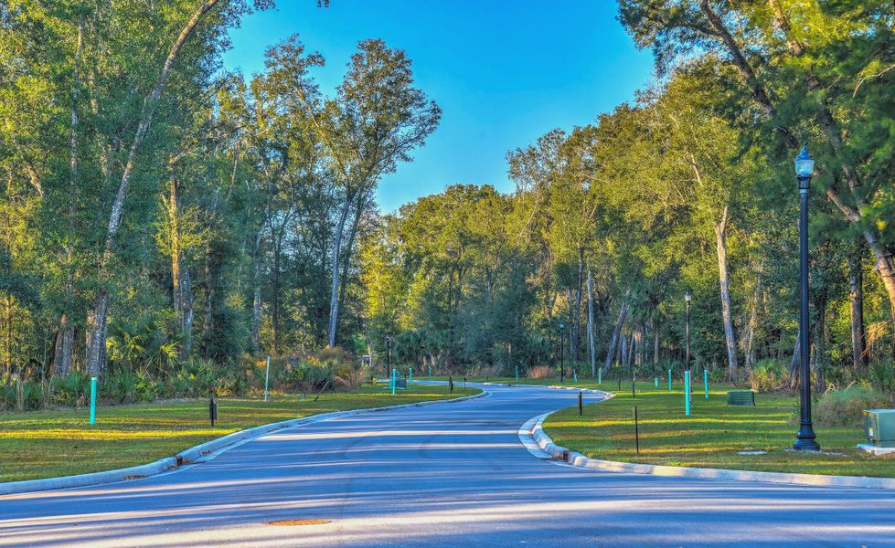 Natural surroundings and green spaces near Brown's Landing Estates in Port Orange, FL (Image 16). Natural surroundings and green spaces near Brown's Landing Estates in Port Orange, FL (Image 16).