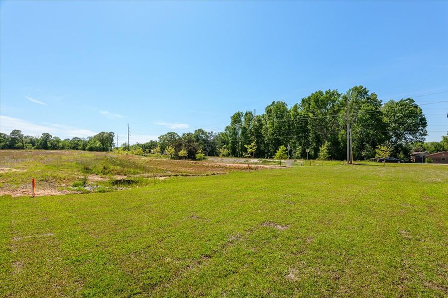 Natural surroundings and green spaces near Camellia Park in Thomson, GA (Image 105).