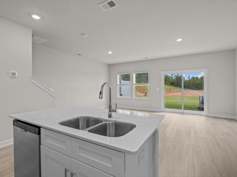 Close-up of interior finishes in a home at Crossing at Abner Creek Townes, Greer (Image 7).