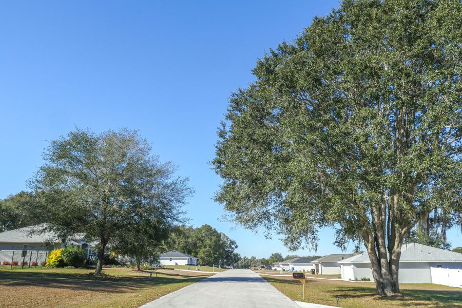 Citra Highland,32113