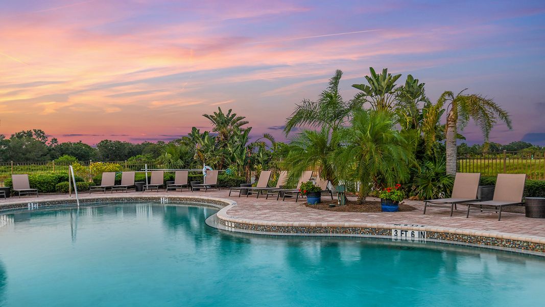 Community amenity available to residents of Bella Via in Port Charlotte (Image 18). Community amenity available to residents of Bella Via in Port Charlotte (Image 18).