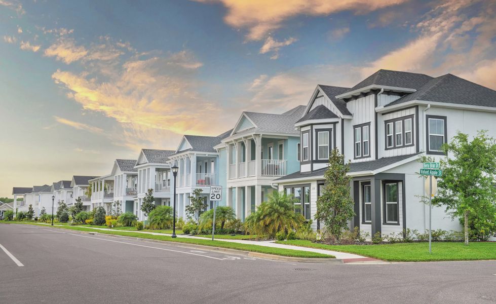 Front exterior of a home in the Persimmon Park community, located in Wesley Chapel, FL (Image 3). Front exterior of a home in the Persimmon Park community, located in Wesley Chapel, FL (Image 3).