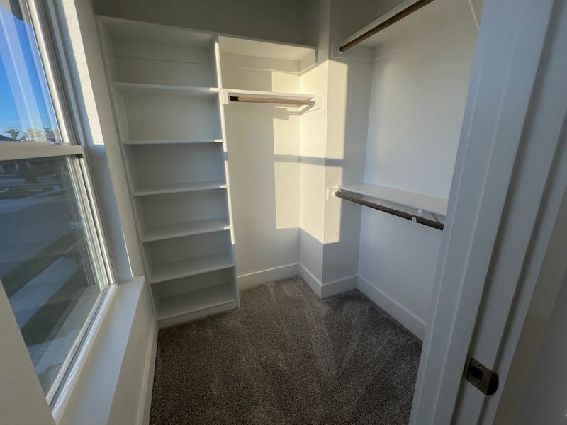 A bright walk-in closet with ample shelving and hanging space, featuring plush carpeting and natural light streaming in.